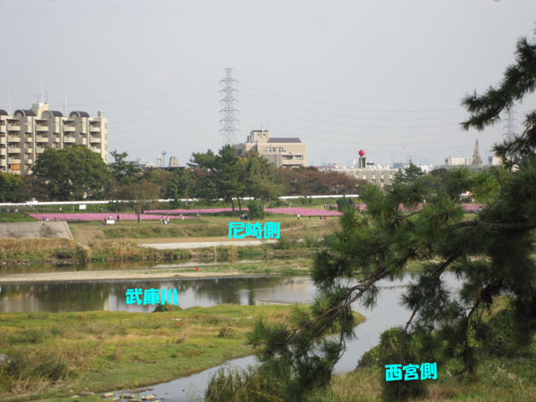 e0125894_20363783.jpg