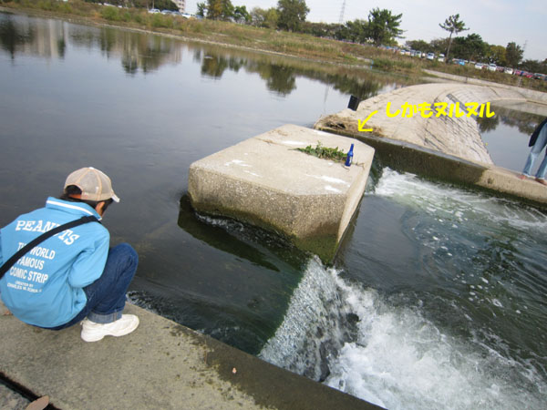 e0125894_2038420.jpg