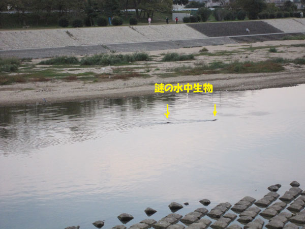 e0125894_20401493.jpg