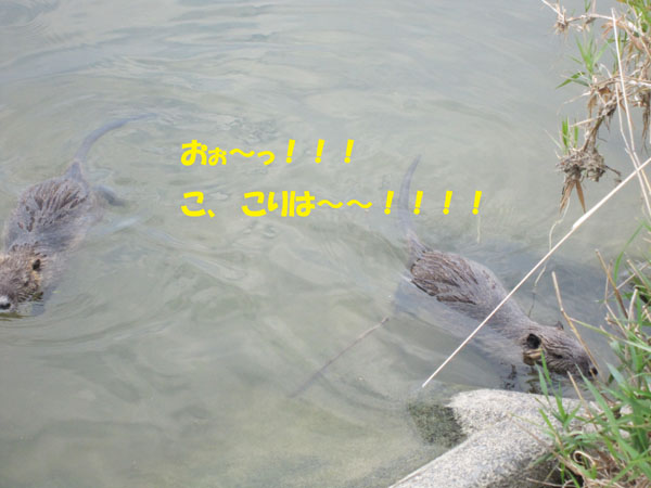e0125894_20403452.jpg