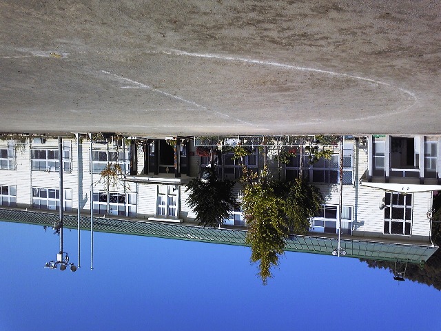 c0018195_847166.jpg