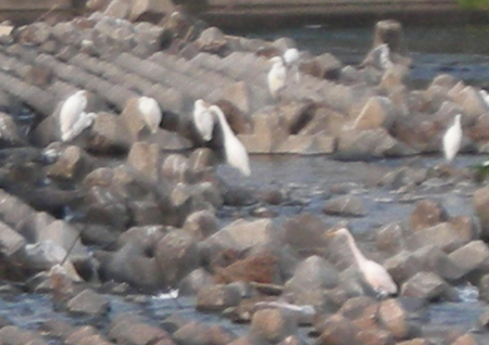 d0000995_12562070.jpg