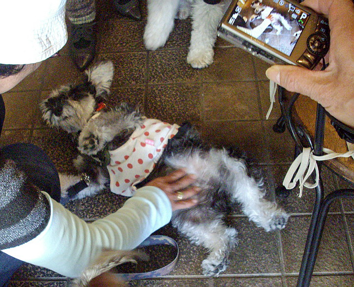 c0138198_16555930.jpg