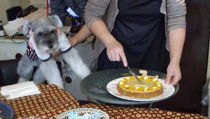 c0138198_1724532.jpg