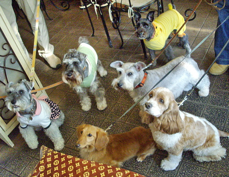 c0138198_17254946.jpg