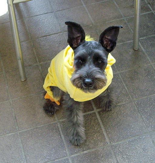 c0138198_17271819.jpg