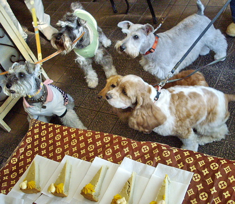 c0138198_1729949.jpg