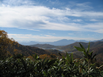 a0117599_21294017.jpg