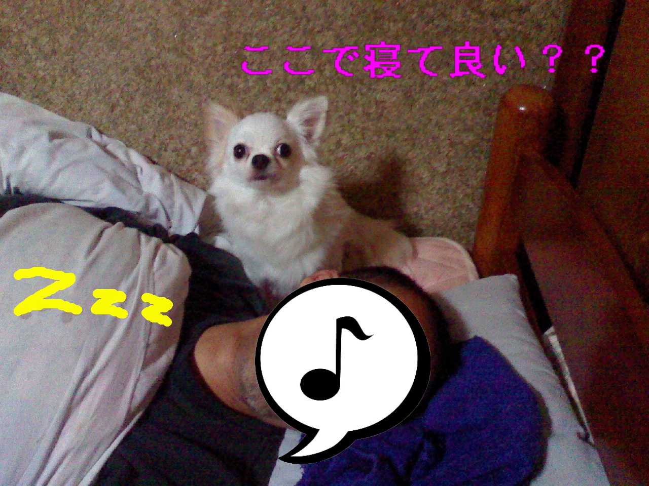 a0133999_22213544.jpg