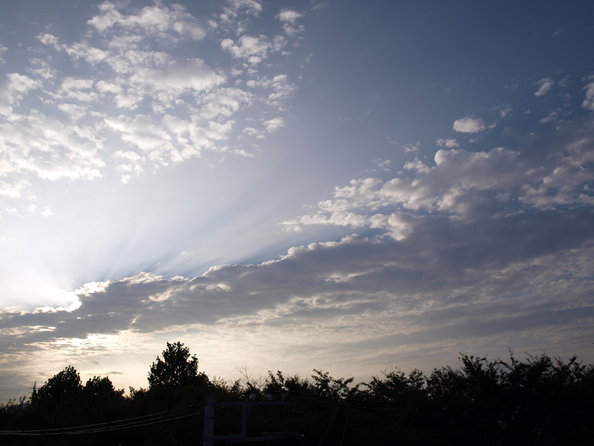 f0108399_912015.jpg