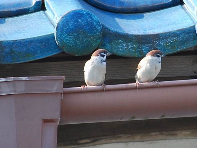 e0025300_10383655.jpg