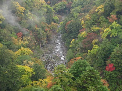 c0125501_1065720.jpg