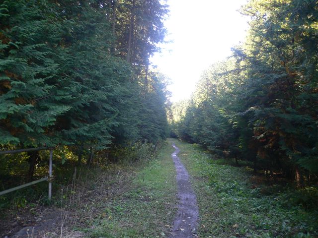 b0149303_13424249.jpg