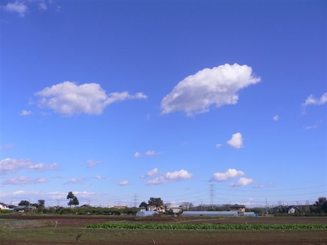 b0149303_14212767.jpg