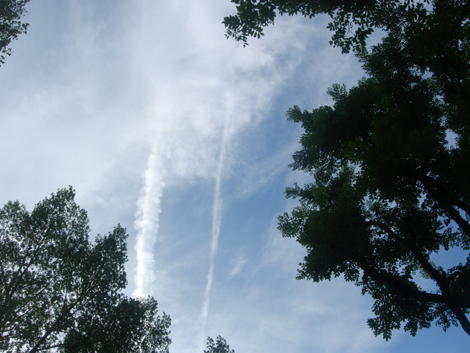 b0134008_6493318.jpg