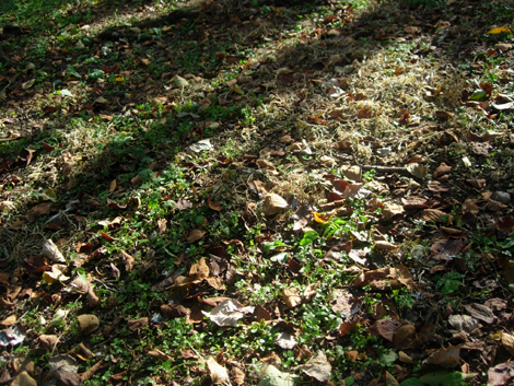 b0134008_6494550.jpg