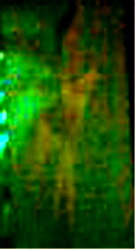 e0103408_1050980.jpg