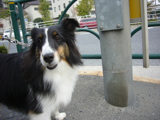 e0130008_20555559.jpg