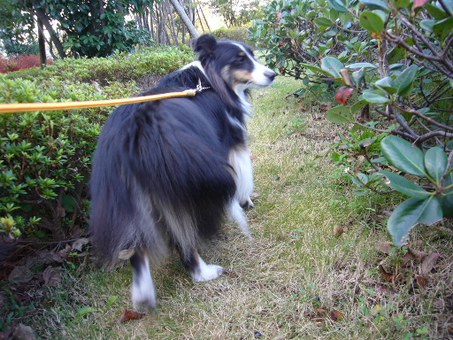 e0130008_21103450.jpg