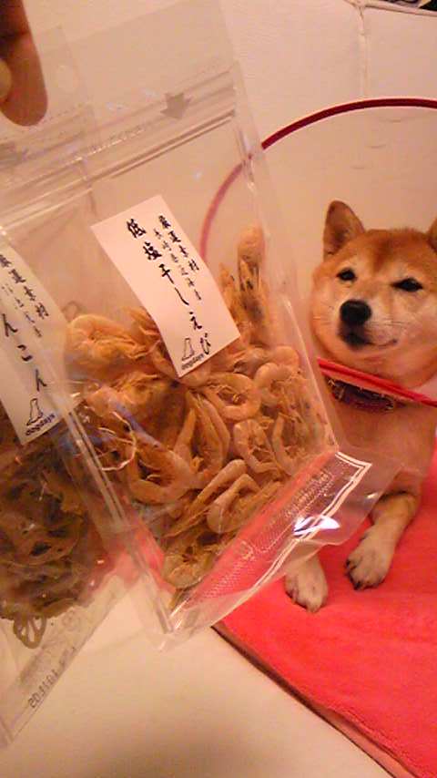 f0004309_15141863.jpg