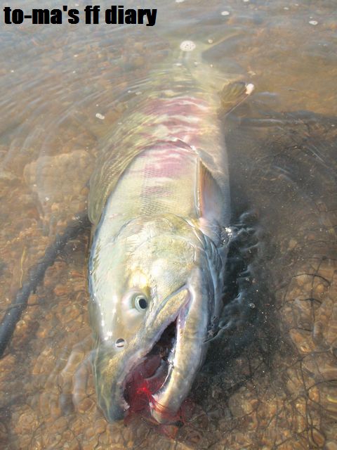 f0137709_001230.jpg