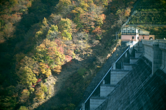 d0143011_2049204.jpg