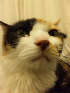 c0201113_236693.jpg