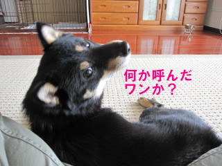 c0185516_23551229.jpg