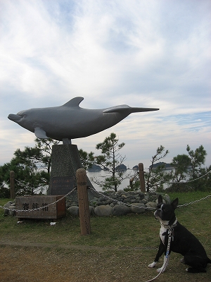 f0141516_2346130.jpg
