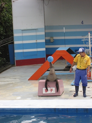 f0141516_2347465.jpg