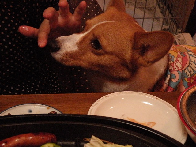 c0127617_2312612.jpg