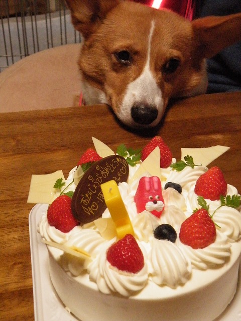 c0127617_23245061.jpg