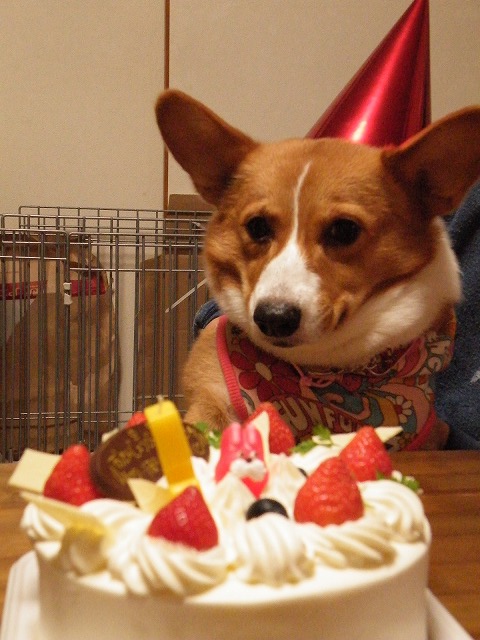 c0127617_23254518.jpg