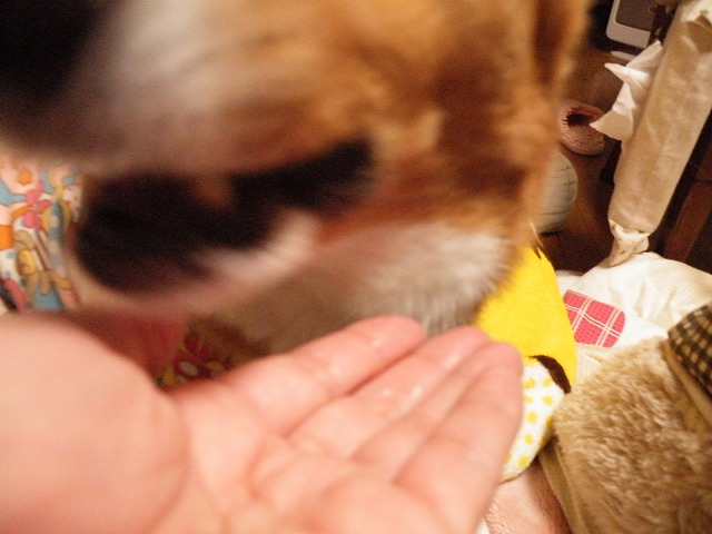 c0127617_23272837.jpg