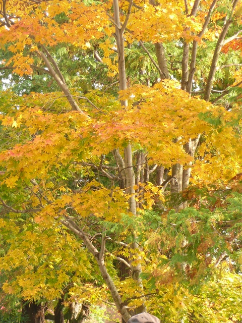c0223117_20154322.jpg