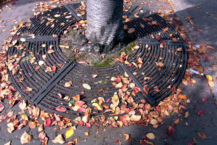 e0083517_293558.jpg