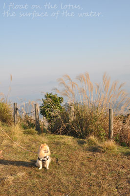 b0075318_12254531.jpg