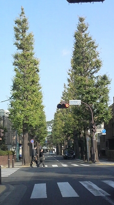 e0170519_2339439.jpg