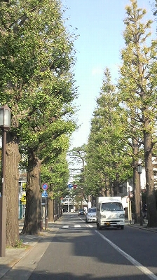 e0170519_23395397.jpg