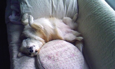 c0150520_2171077.jpg