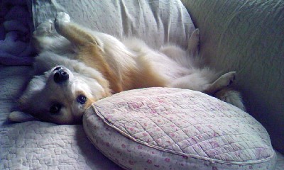 c0150520_2172980.jpg