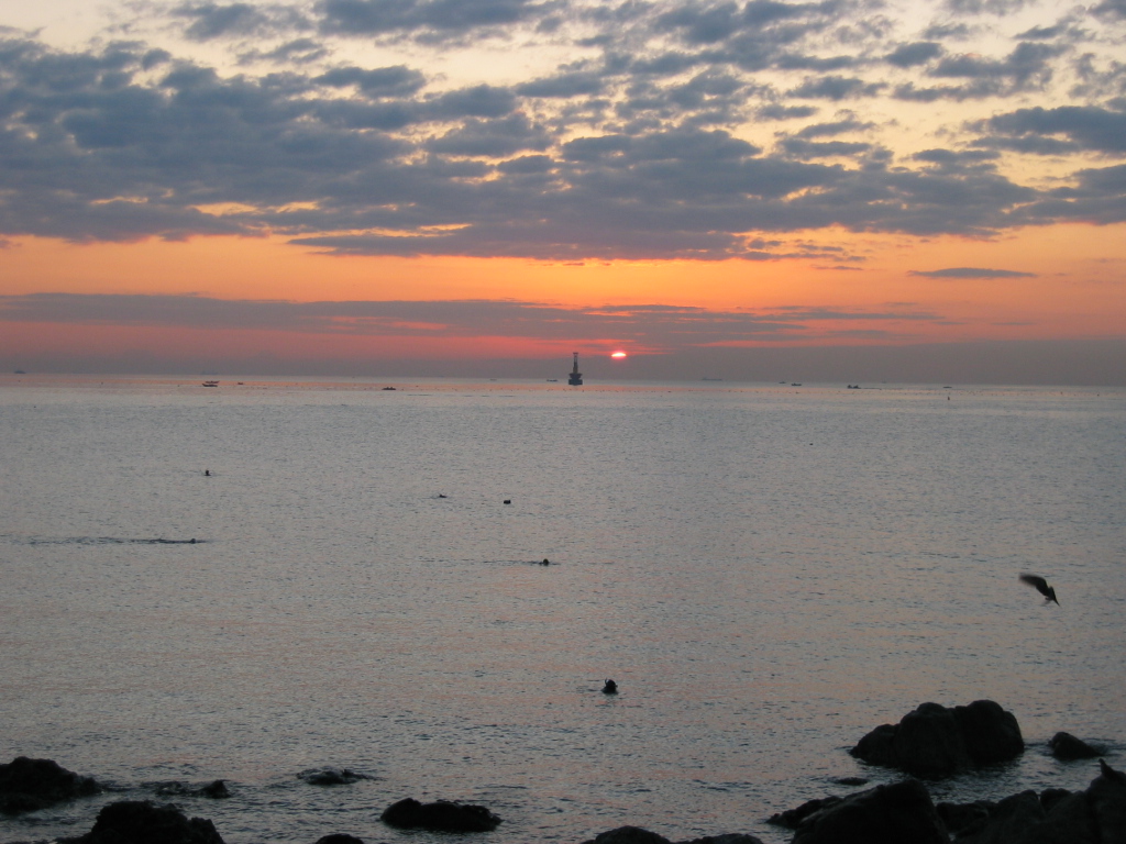 d0010720_18492189.jpg