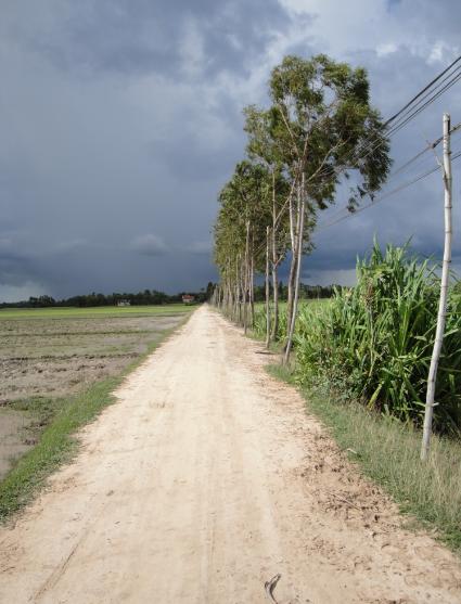 b0167225_041508.jpg