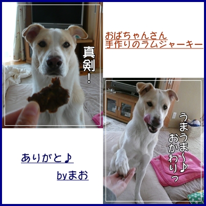 d0140133_14291949.jpg
