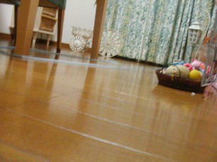 f0002833_1856354.jpg