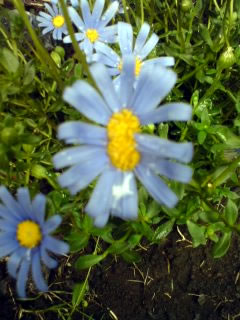 a0003734_22551837.jpg