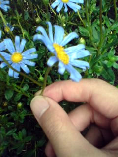 a0003734_2257141.jpg