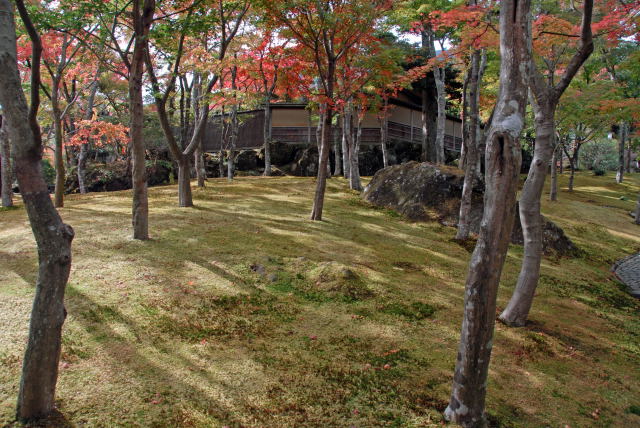d0091834_19432492.jpg