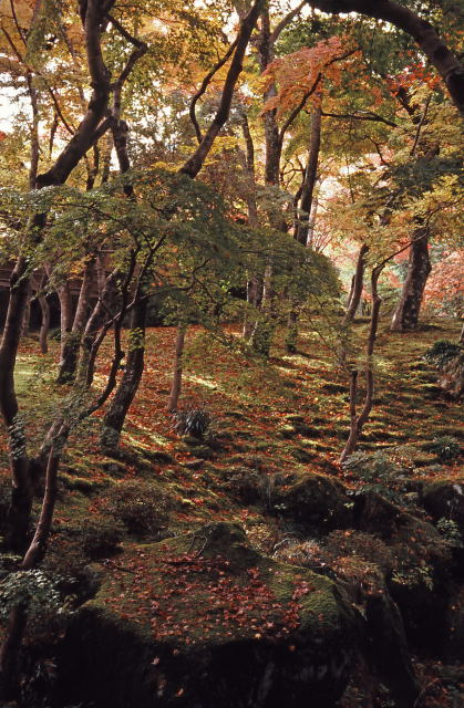 d0091834_19434193.jpg