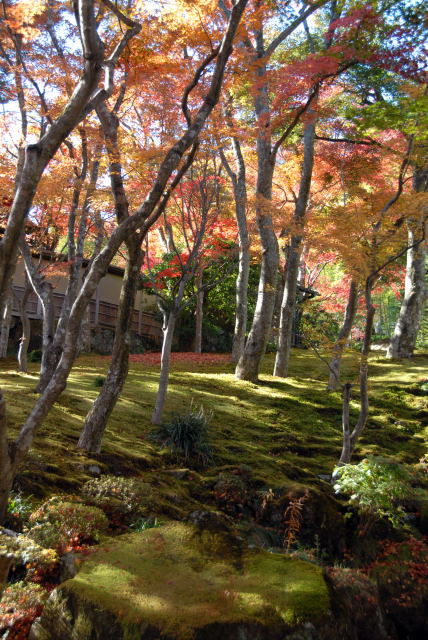 d0091834_19441110.jpg